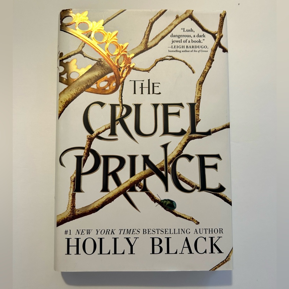 The Cruel Prince by Holly Black. Hardcover book.Excellent condition(Fantasy, YA)